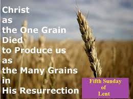 Newsletter 21 March 2021