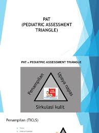 Image result for Pediatric Assessment Triangle