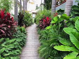 Landscape Design And Construction At Maroubra By Bamboo South Coast Landscape Design And Con Tropical Garden Design Tropical Landscape Design Tropical Garden