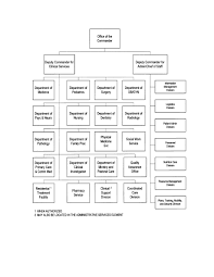 figure 1 4 typical hospital organization chart medical