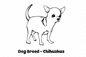 Choose from over a million free vectors, clipart graphics, vector art images, design templates, and illustrations snag this free chihuahua dog animal mandala svg file for your cricut and/or silhouette. Dog Breed Chihuahua Svg Cut File By Creative Fabrica Crafts Creative Fabrica