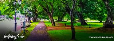 The park is open to visitors all year 24x7 so you can enjoy the beauty of viharamahadevi park whenever you like. Viharamahadewi Park In Colombo Watching Lanka