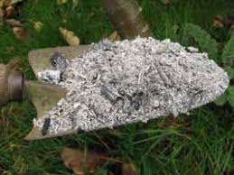 Using Wood Ash In The Vegetable Garden Plants Vegetable Garden Cineraria