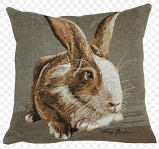 Home decor, accessories and decorative items are a must in every single home. Cushion Domestic Rabbit Throw Pillows Slipcover Png 1181x1103px Cushion Belgium Domestic Rabbit Easter Fauna Download Free