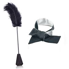 Amazon.com: Toys Satin Blindfold Set,Feather Tickle，2 in 1 Sport Exquisite  Ostrich Feather Tickler for Games (KBXW-643) (Style 2) : Health & Household