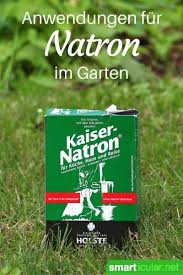 6 Clevere Anwendungen Fur Natron Im Garten Mit Bildern Garten Garten Pflanzen Unkraut Im Garten