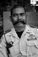 Stock Image Search Results