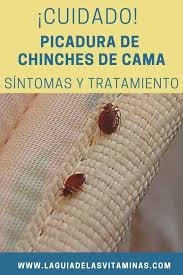 Aunque se pueden dar picotazos solitarios, a menudo estos siguen una disposición lineal siguiendo las venas que transportan la sangre por debajo de la piel. Picadas De Chinche Shefalitayal