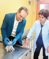 Erzincan Da Arka Ayaklari Tutmayan Yavru Kediye Ikinci Hayat Son Dakika Haberleri