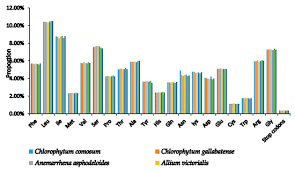 Image result for Chlorophytum gallabatense