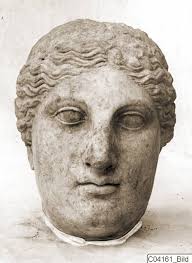 No.438, face. Soli. Swedish Expedition (1927