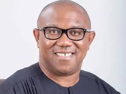 2023: North will support Obi to Rescue Nigeria — Group