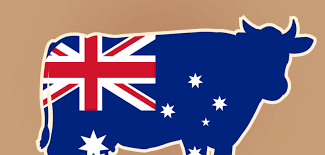 You'll get a good deal on a range of coffee. Australian Beef Good Food Distributors