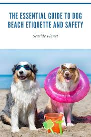 The Essential Guide To Dog Beach Etiquette And Safety Dog Names Hawaiian Dog Names Dog Beach