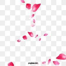 Floating Rose Petals Red Flying Floating Rose Petals Red Rose Petals Falling Petals Png Transparent Clipart Image And Psd File For Free Download Red Rose Petals Rose Petals Falling Flower Graphic