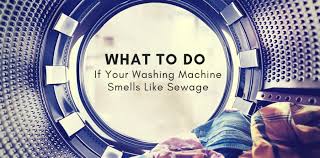 A rotten egg smell in water is usually from high sulfer content in the water. What To Do If Your Washing Machine Smells Like Sewage