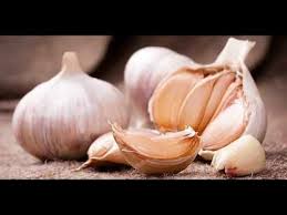 Makan Bawang Putih Saat Perut Kosong Ini Khasiatnya Youtube Kesehatan Bawang
