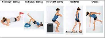 Examples Of Hip Exercise Progression From Non Weight Bearing To Download Scientific Diagram