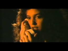 Public Access (1993)