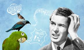 Book of the Week: Marion McLeod