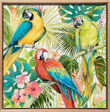 Tableau Animaux Trio De Perroquets Multicolores Dans La Jungle Caisse Americaine En Chene Massif 70x70cm Tableaux Animaux Dessin Perroquet Art A Theme Oiseau