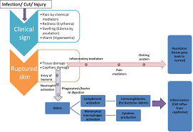 The hallmark symptom, of what some researchers believe is an immune dysfunction syndrome, is extreme and unrelenting fatigue that lasts longer than 6 months. Inflammation And Inflammatory Diseases Markers And Mediators Role Of Crp In Some Inflammatory Diseases Springerlink