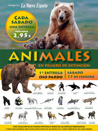 Resultado de imagen de fotos de animales en peligro de extinción