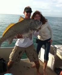 11 Best Fresh Catch Images Fish Naples Fishing Report