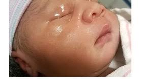 Graduate Alexander Routt