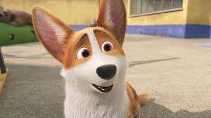 королевский корги 2019 смотреть онлайн в Hd 1080 720 Smotret Onlajn Multfilm Korolevskij Korgi V Horoshem Kachestve