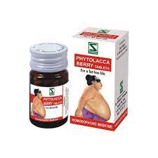 Homeopathic Tablet Phytolacca Berry Tablets Authorized Wholesale Dealer From Surat