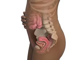 Pregnancy Symptoms: 19 Early Signs Of Pregnancy | Pampers