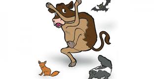 How can my dog get rabies? Be Aware Of Rabies Warning Signs In Cattle Cattle Disease Livestock Health Beef Magazine