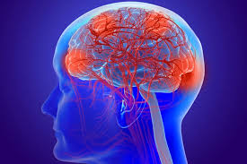 Jugamos nerve en la vida real y esto fue lo que pasóúnete al movimiento. Neuroeducacion Y Malabares By Ana Garcia On Genially