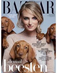 Great lakes weimaraner rescue, inc. 22 Vizslas In Advertising Ideas Vizsla Vizsla Dogs Most Beautiful Dog Breeds