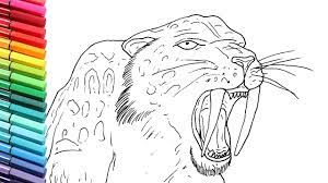 36 impressive saber tooth tiger coloring page. Drawing And Coloring Saber Toothed Tiger How To Draw Prehistoric Monster The Smilodon Youtube