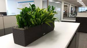 Lechuza Planters Plantopia Interior Plant Service Enjoy free shipping on most stuff, even big stuff. lechuza planters plantopia interior