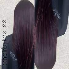 Dark Brunette Hair With Subtle Purple Tint Google Search Hair Styles Long Hair Styles Dark Brunette Hair
