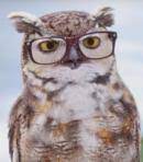 While over half the frames in the store are in our 2 for $69.95 collection, you can also save on higher. The Owl Voice Americas Best Commercial Behind The Voice Actors