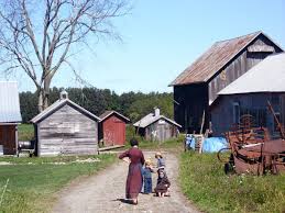 Amish earn money in a variety of ways. Why Do Some Amish Groups Have Their Teeth Pulled Out Owlcation