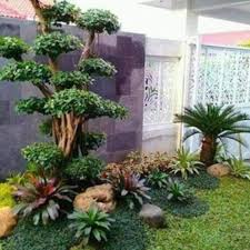 4 tips membuat teras belakang rumah minimalis modern. Tukang Taman Bojonegoro Jasa Tukang Taman Bojonegoro