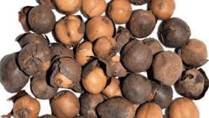 Image result for Afrostyrax