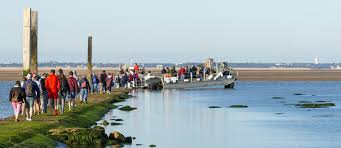 La crique de suzac est un havre de paix blotti au pied des falaises calcaires. Informations Pratiques Visite Decouverte Le Phare De Cordouan