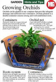 Pin On Plant Best Care