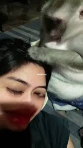 Moppi Gemoy (@moppigemoy)'s videos with original sound