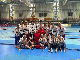 Participació del Club Hanol a l'Obert de l'Alcarria de Taekwondo