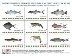 Salmon is a diner favorite, thanks to its taste and versatility. These Researchers Are Protecting Fish By Reminding Indians When Exactly To Eat Them