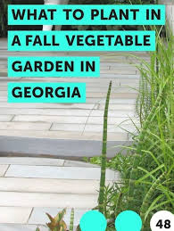 Avoid The Challenges Of Growing Vegetables During Hot Summer Weather In Georgia By Planting A Fall Garden Start Seeds Or Seedlings In August And September