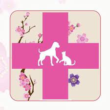 24 hour pet clinic in yangon.lotus bed & breakfast, yangon region. 24 Hours Veterinary Clinic Yangon Home Facebook