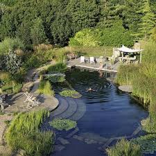 Piscine Ecologique Swimming Pools Backyard Backyard Pool Natural Swimming Pools